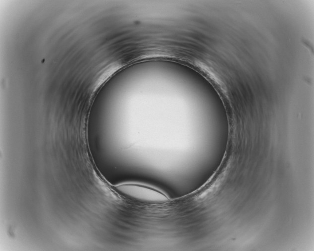 X0000094451137200711081041