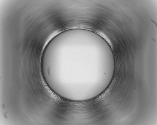 X0000094451138200711081041