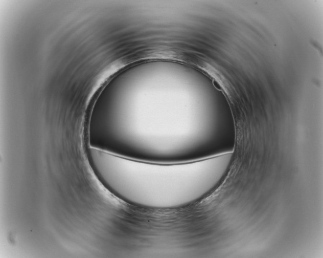 X0000094451139200711081041