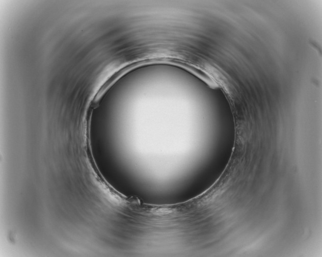X0000094451140200711081041