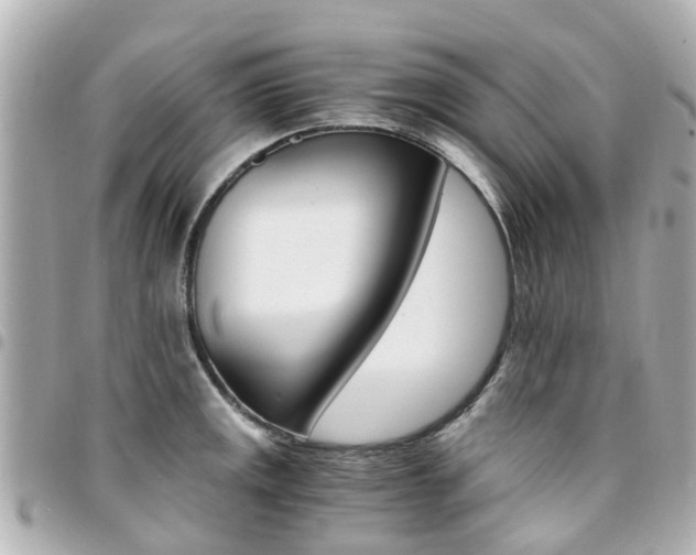 X0000094451141200711081041