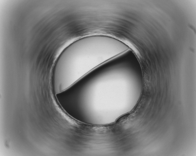 X0000094451142200711081041