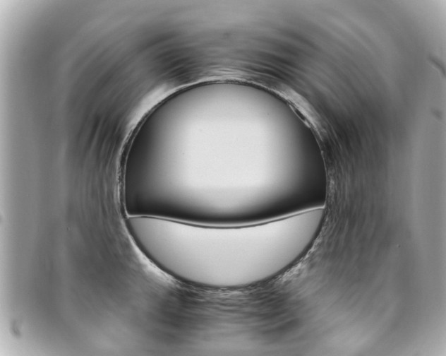 X0000094451143200711081041