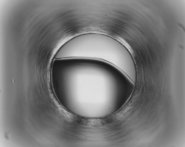 X0000094451144200711081041