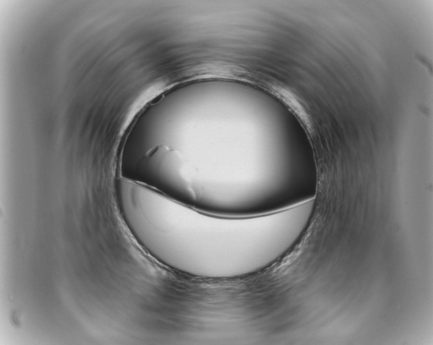 X0000094451146200711081041