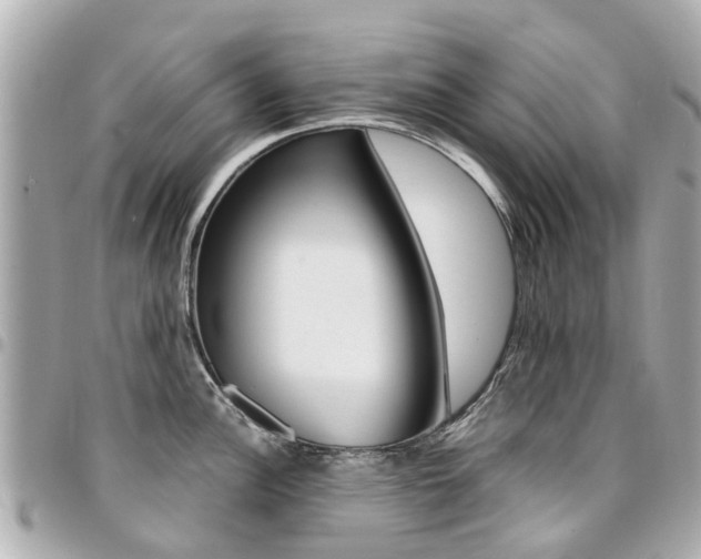 X0000094451148200711081041