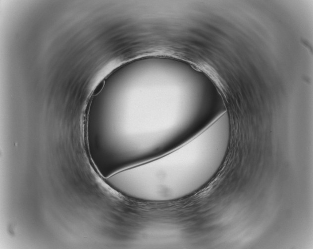 X0000094451151200711081042