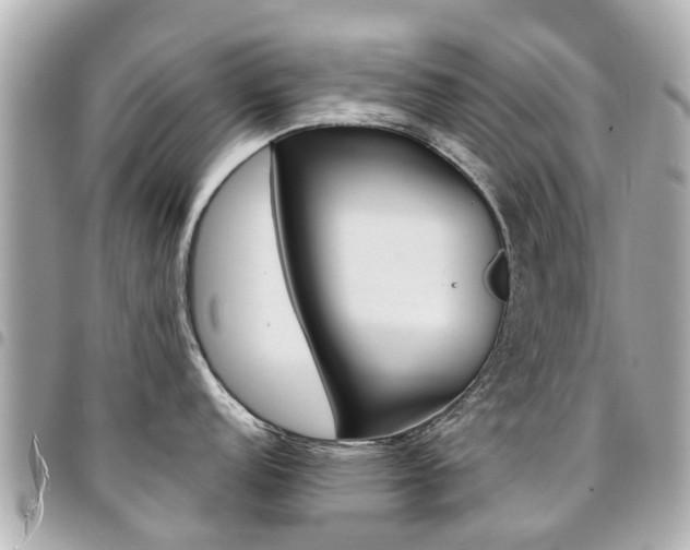 X0000094451152200711081042