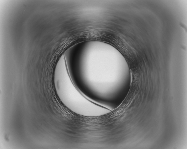 X0000094451153200711081041