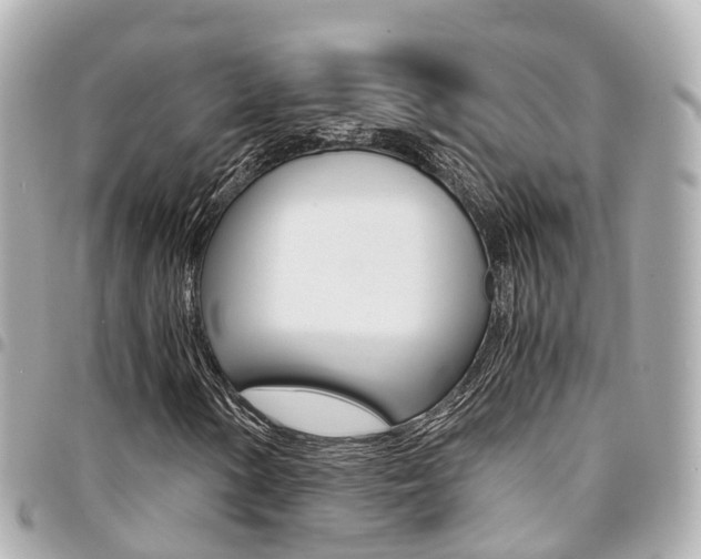 X0000094451154200711081041