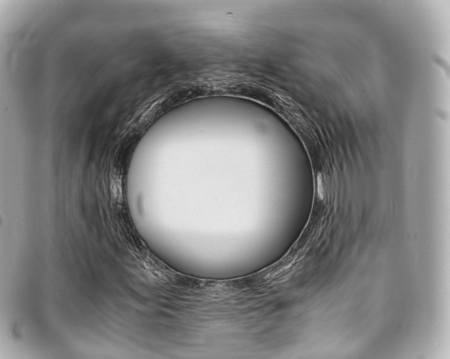 X0000094451155200711081041