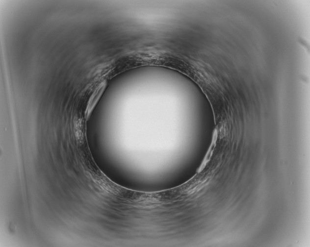 X0000094451156200711081041
