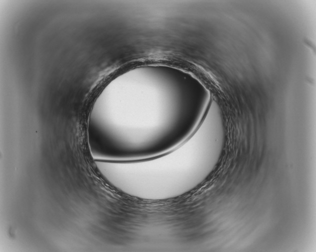 X0000094451160200711081041