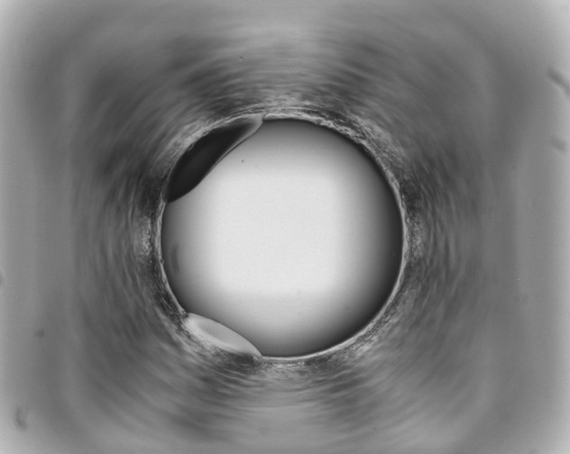 X0000094451161200711081041