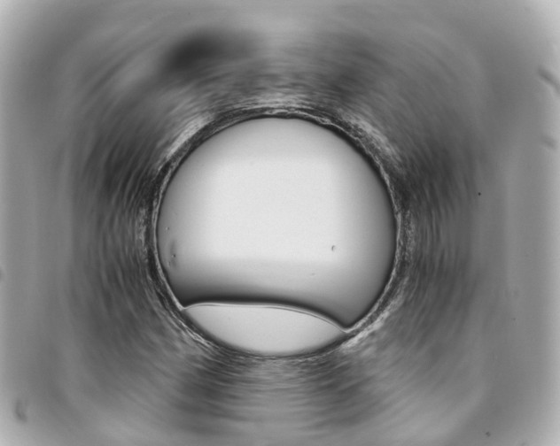 X0000094451162200711081041