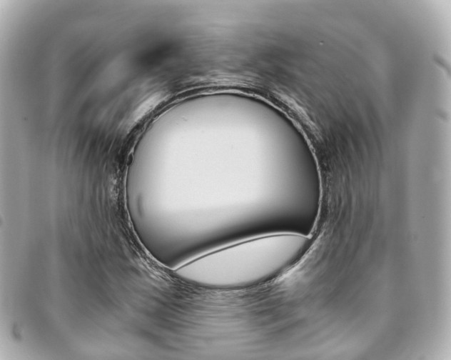 X0000094451163200711081041