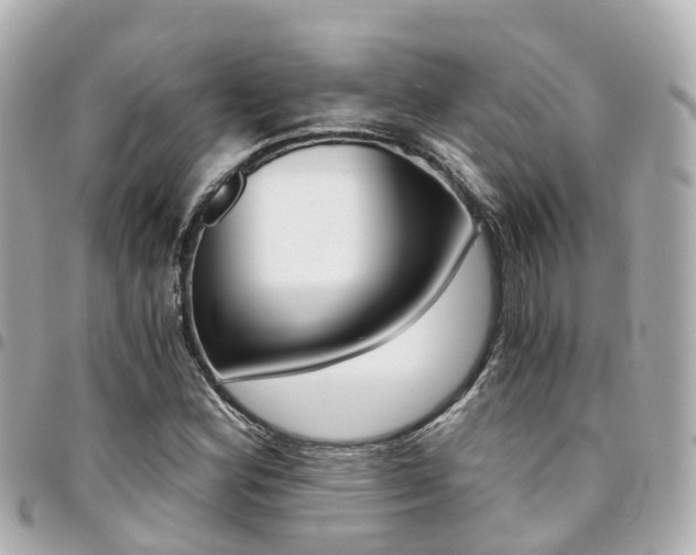 X0000094451164200711081041
