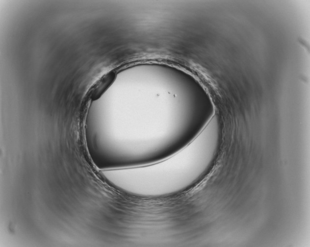X0000094451165200711081041