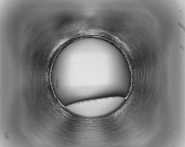 X0000094451166200711081041
