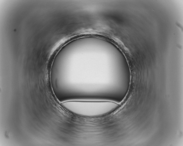 X0000094451167200711081041