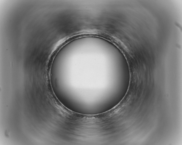 X0000094451168200711081041