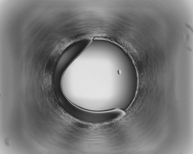 X0000094451169200711081041