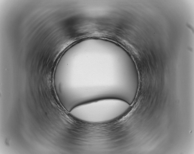 X0000094451170200711081041