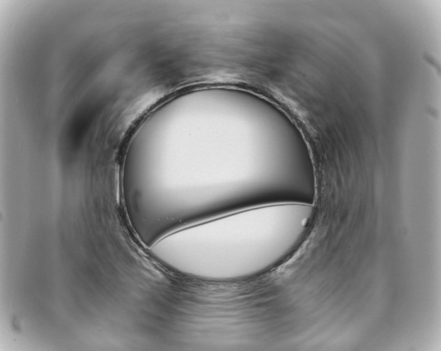 X0000094451171200711081041