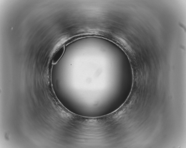 X0000094451172200711081041