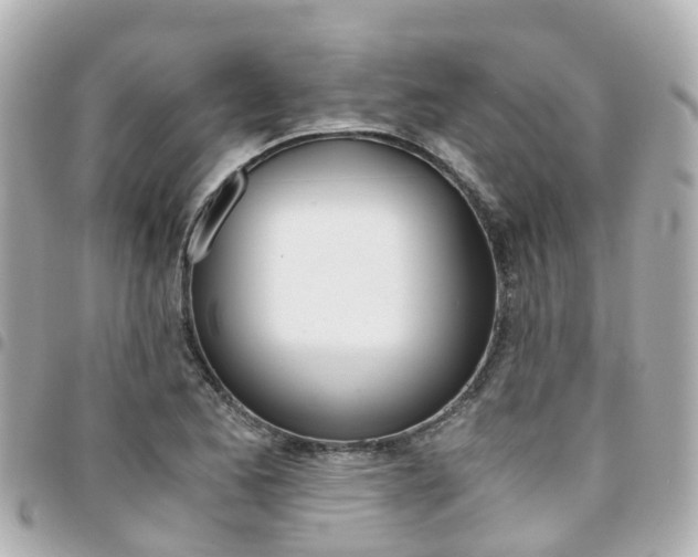 X0000094451173200711081041