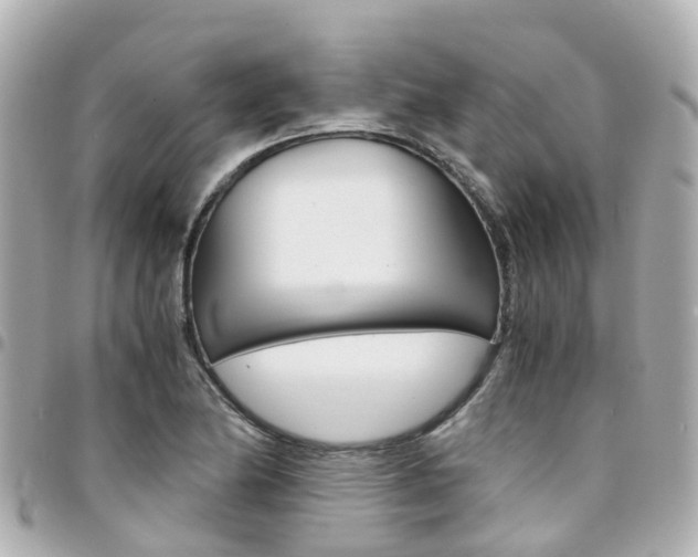 X0000094451174200711081041