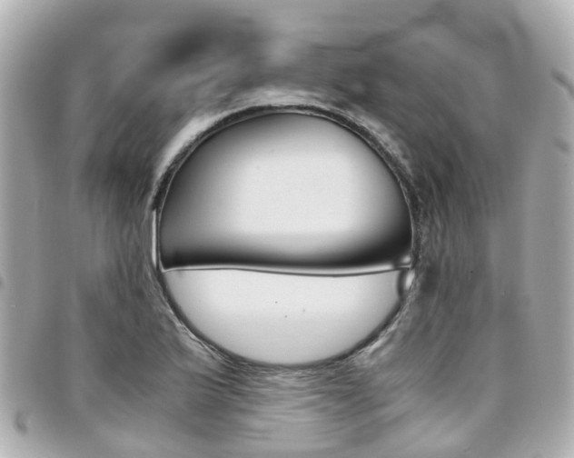 X0000094451175200711081041