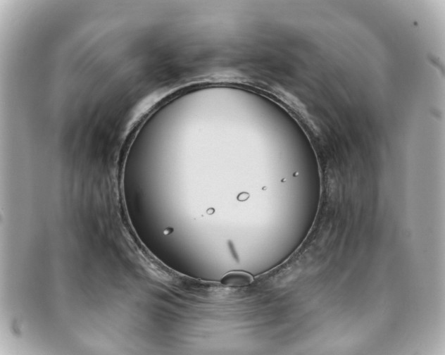 X0000094451176200711081041