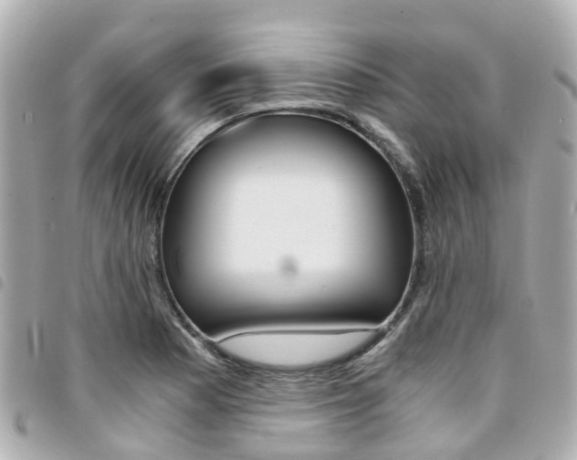 X0000094451177200711081041