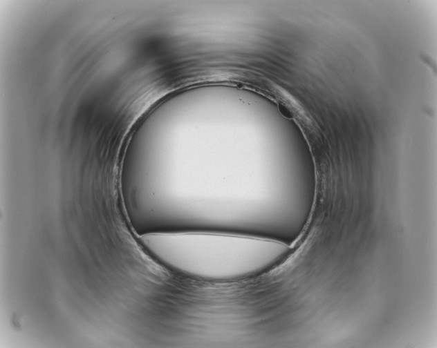 X0000094451178200711081041