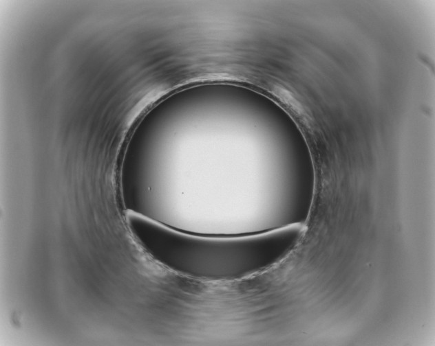 X0000094451181200711081040