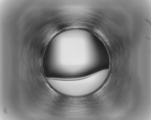 X0000094451185200711081040