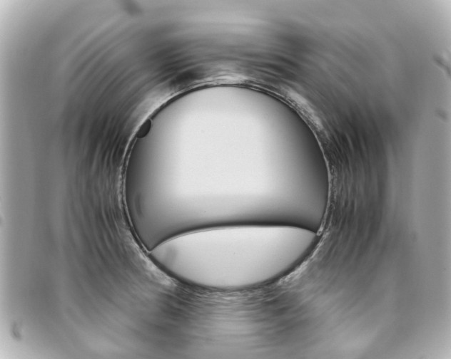 X0000094451186200711081040