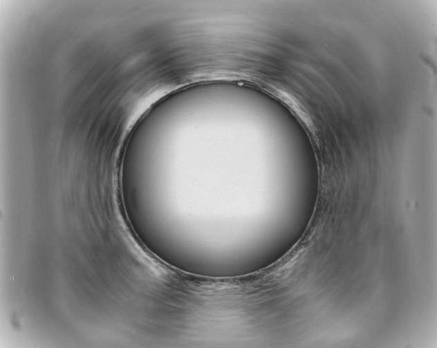 X0000094451187200711081040