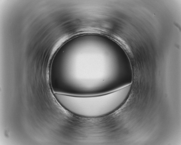 X0000094451188200711081040
