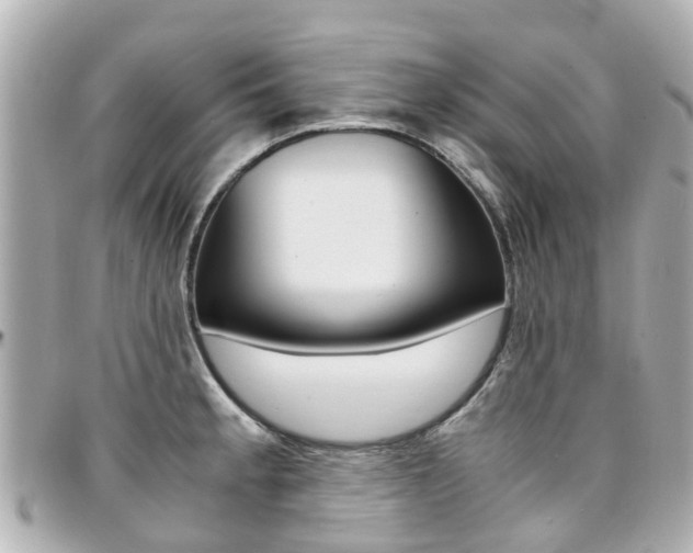 X0000094451189200711081040