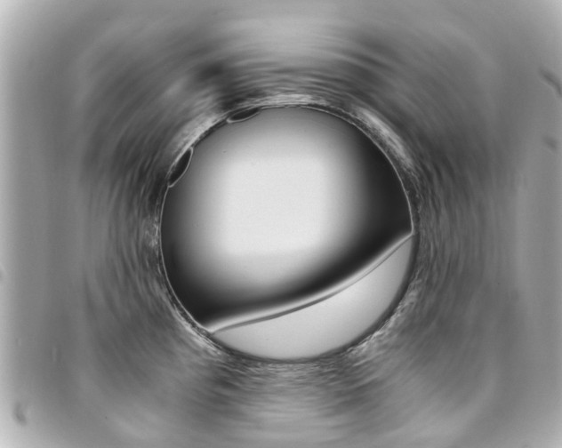 X0000094451193200711081040