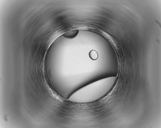 X0000094451194200711081040
