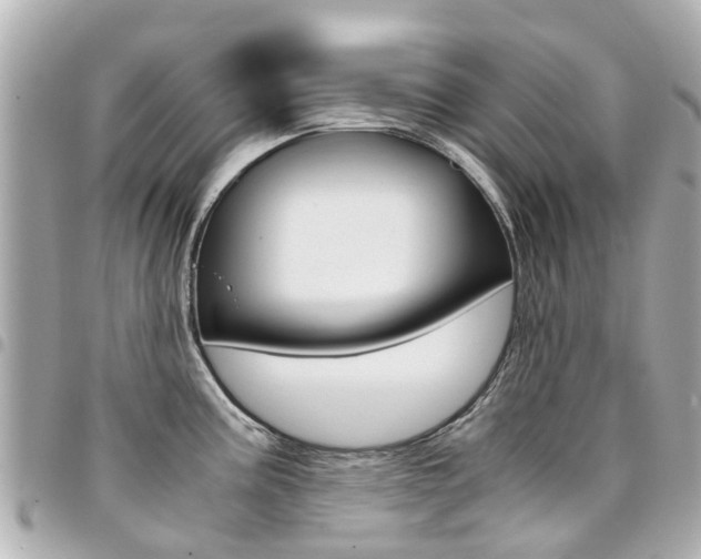 X0000094451195200711081040