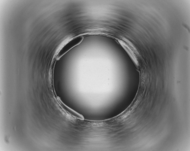 X0000094451196200711081040