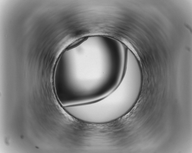 X0000094451197200711081040