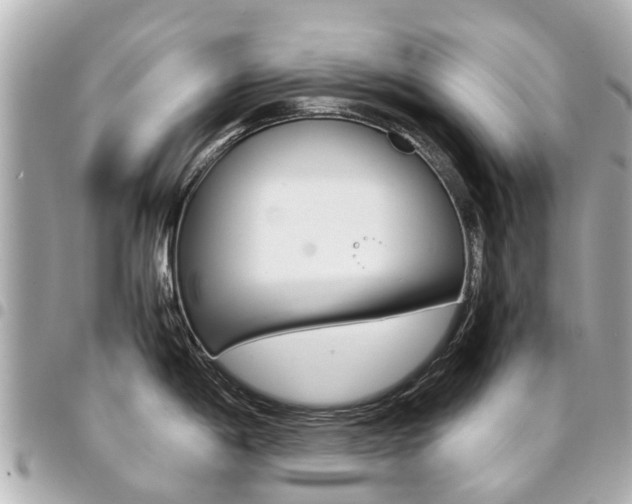X0000094451198200711081040