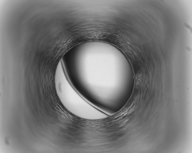 X0000094451202200711081040