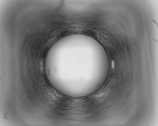 X0000094451203200711081040