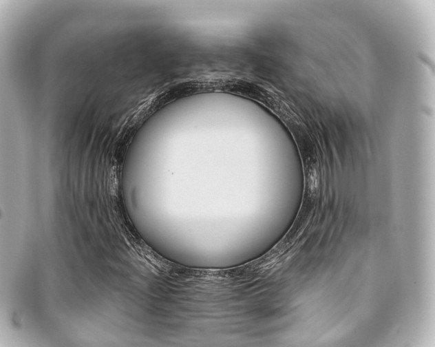 X0000094451204200711081040